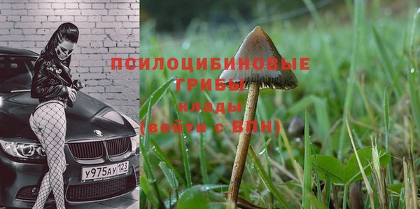 гидра Алзамай