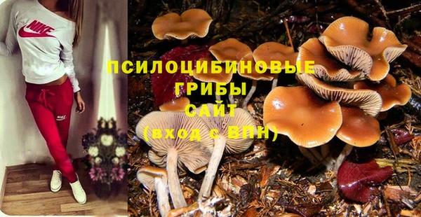 ALPHA-PVP Армянск