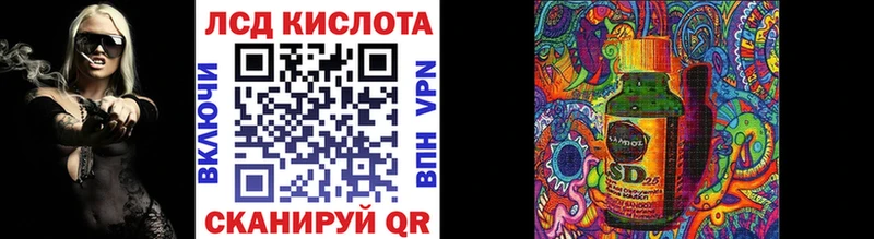 darknet Telegram  купить наркотики цена  Советская Гавань  Наркотические марки 1,8мг 