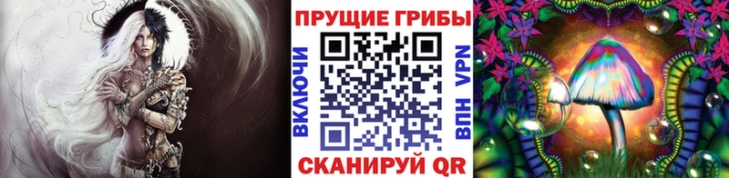 Псилоцибиновые грибы Cubensis Советская Гавань