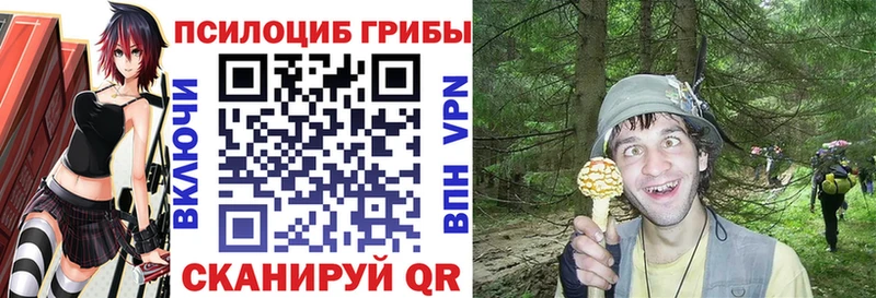 Галлюциногенные грибы GOLDEN TEACHER  купить наркотики цена  Советская Гавань 